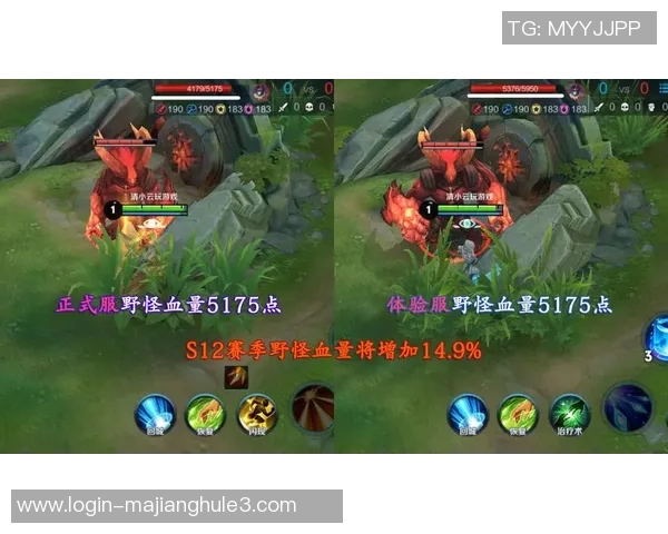 王者荣耀深度解析IG战队默契配合与战术策略的成功之道